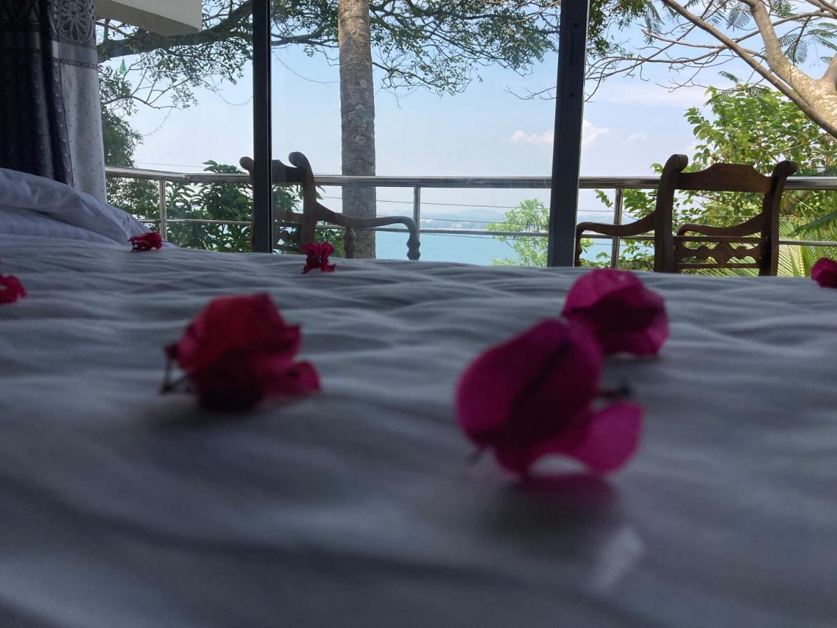 Jungle Beach Restaurant And Hotel-Jbr كالي المظهر الخارجي الصورة