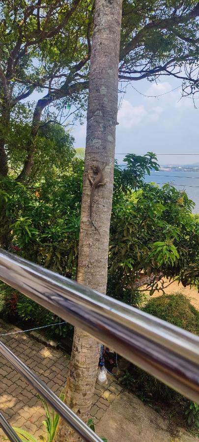 Jungle Beach Restaurant And Hotel-Jbr كالي المظهر الخارجي الصورة